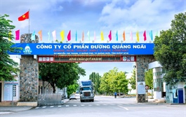 QNS - Tăng trưởng bền vững, bất chấp khó khăn (Kỳ 1)